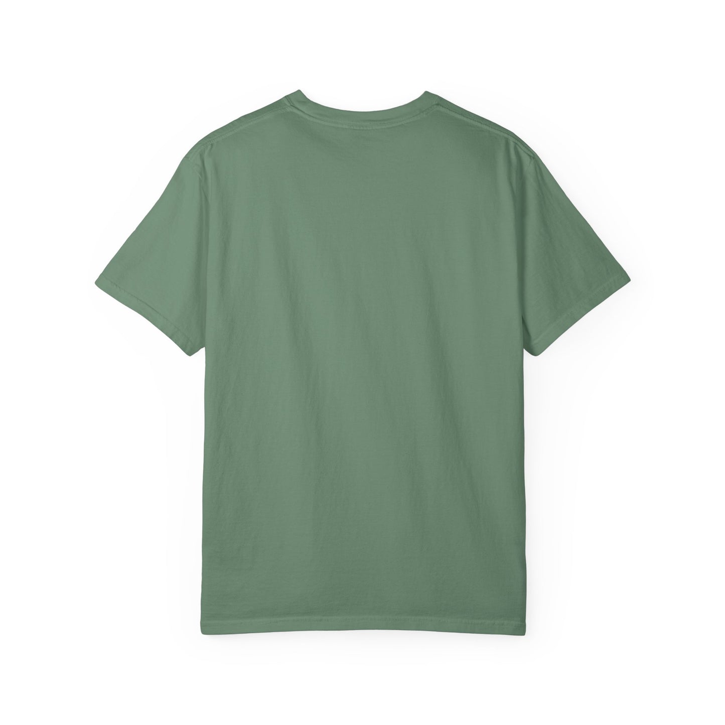 Blue Striped Llama Graphic T-Shirt