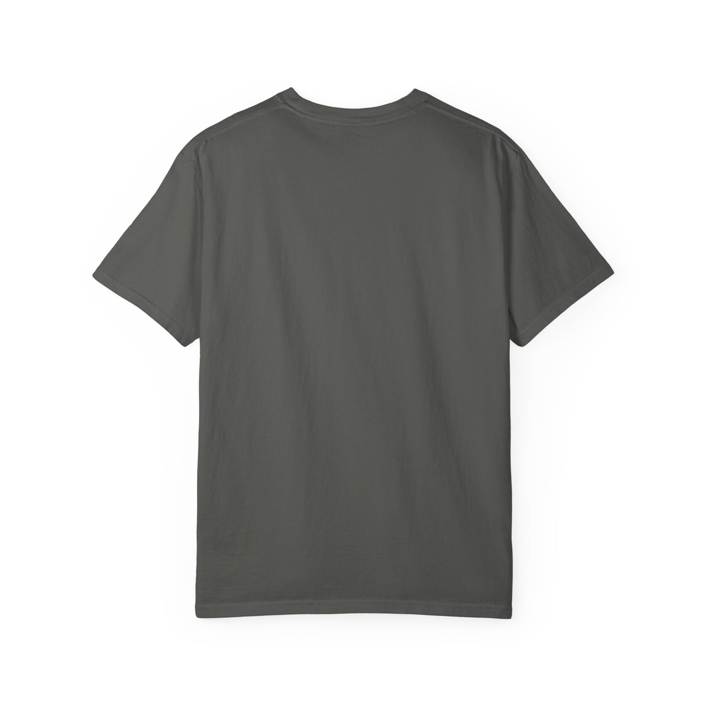 Blue Striped Llama Graphic T-Shirt
