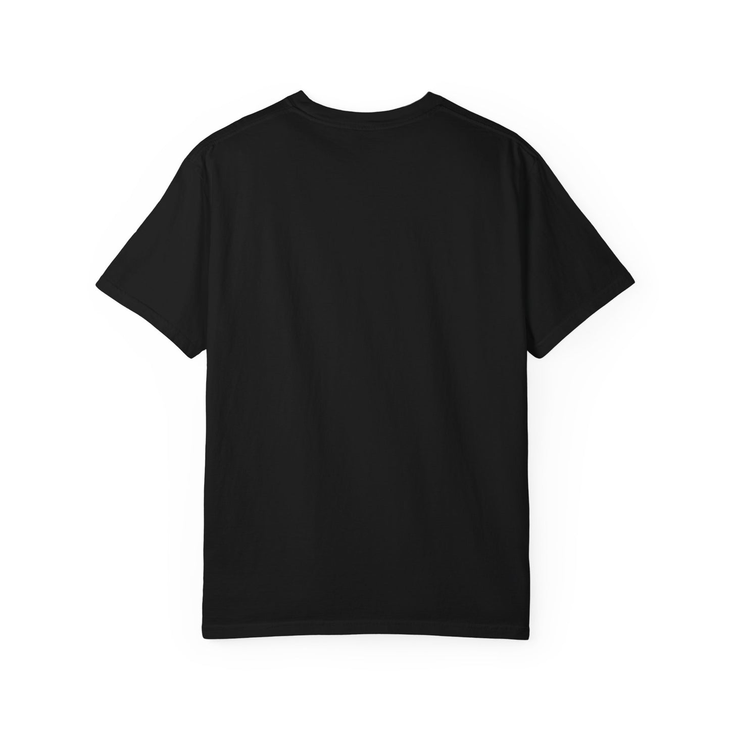 Blue Striped Llama Graphic T-Shirt